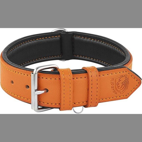 Orange Leather Dog Collar - Padded Heavy Duty Wide Dog Collar for Medium - Picture 2 of 3